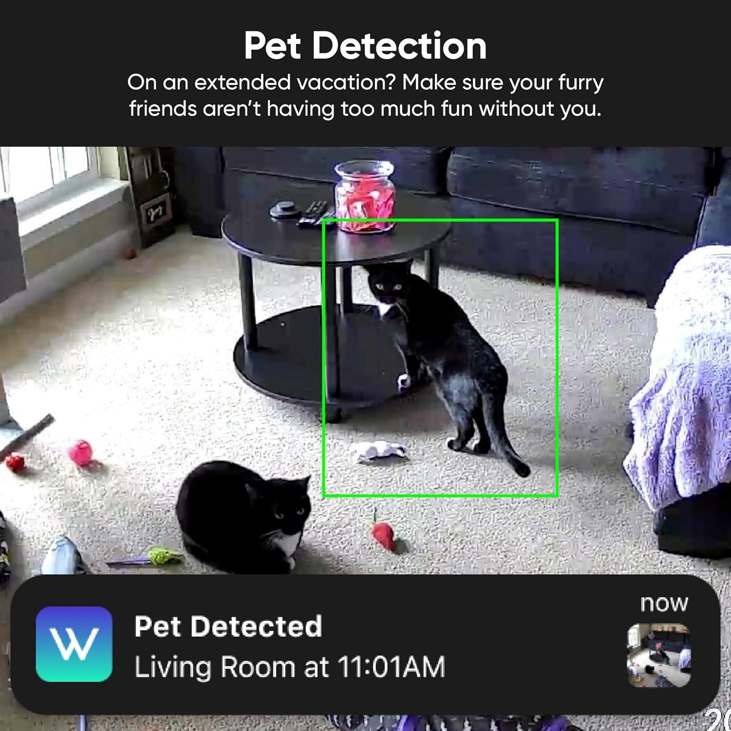 imageWyze Security Plan Cam Plus 1 Camera 1 Month Subscription AI features Smart Detection for Person Pet Package Vehicle and Glass Break Security Surveillance and Monitoring Rolling 14 Days Event Video Recording Activation Required Cancel Anytime1 Month 1 Camera